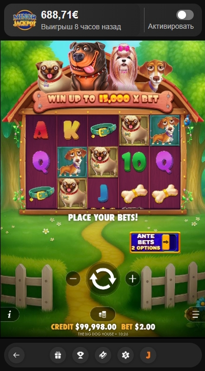 Интерфейс слота The Big Dog House в Joy Casino